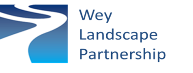 WLP Logo